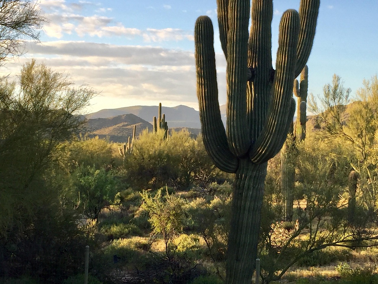 梦见鳄鱼咬自己意味着什么
