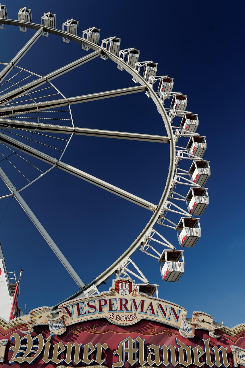 梦见头顶上空飞着很多鸟代表着什么