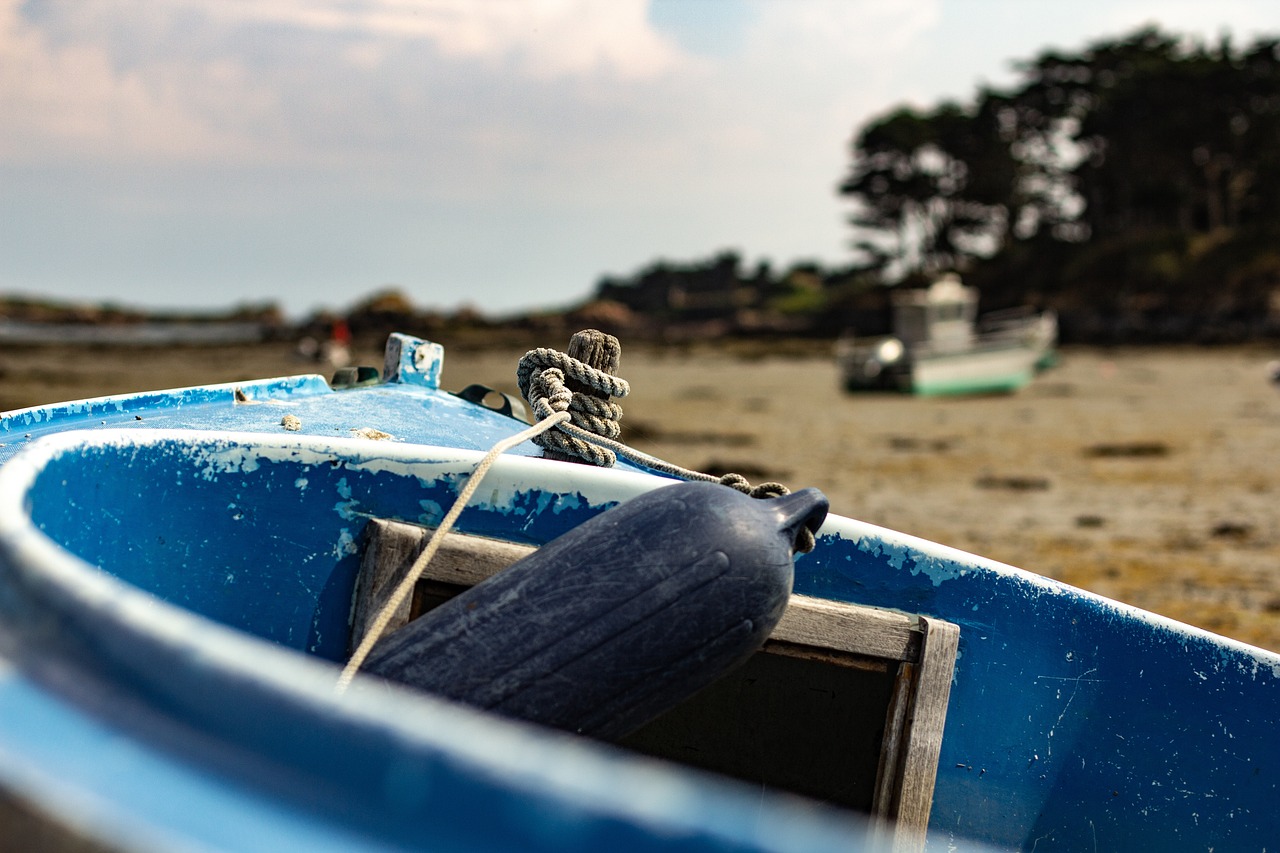 梦见家人打架意味着什么