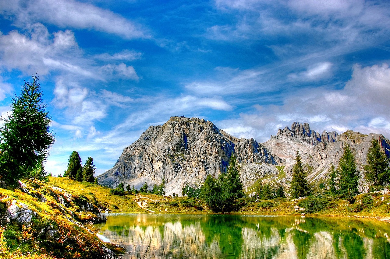 梦见杀狼拔狼牙好不好